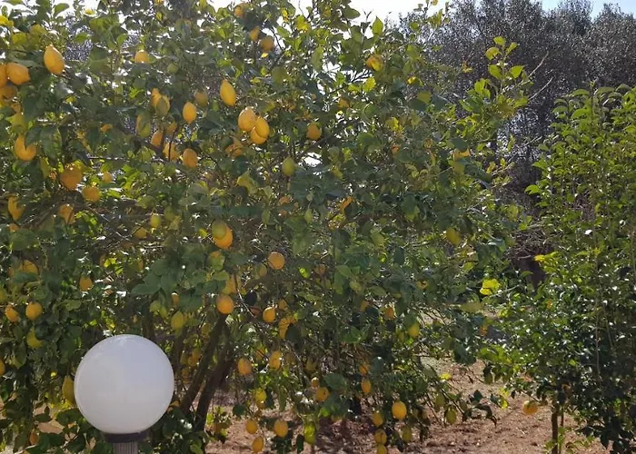 Stella - Salento Puglia